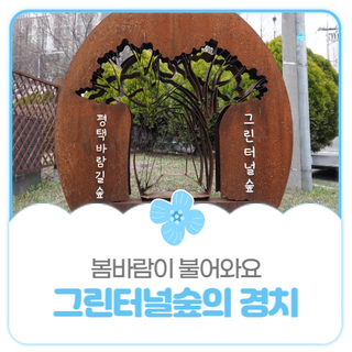 평택시민기자단 I 그린터널숲에 봄이 오고 있어요!