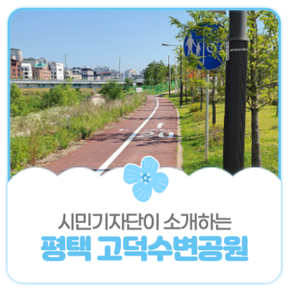 평택시민기자단 I 평택 고덕수변공원의 현황/여름풍경/산책로 소개합니다