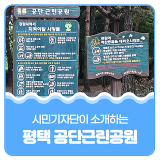 평택시민기자단 I 평택 공단근린공원의 여름풍경