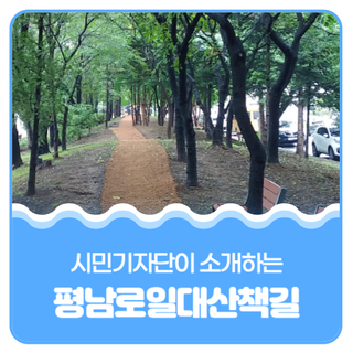 평택시민기자단 I 합정동 평남로의 산책하기 좋은길을 소개해요!