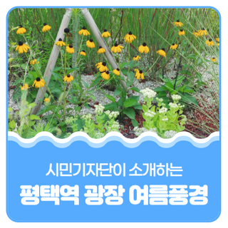 평택시민기자단 I 평택역 광장 여름풍경과 꽃보며 힐링해요!