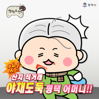 저렴한 가격으로 채소 구매해요! 2024 김장 채소 산지 직거래장터