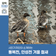 평택시민기자단 | 통복천과 안성천에서 만나는 겨울 철새들