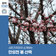 평택시민기자단 | 봄 산책하기 좋은 안성천을 걸어요!