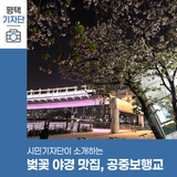 평택시민기자단 | 벚꽃 야경 맛집, 공중보행교