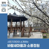 평택시민기자단 | 고덕 바람새마을과 소풍정원에 찾아온 봄날