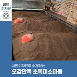평택시민기자단 | 평택시 농촌체험휴양마을 초록미소마을에서 '쌀겨 효소 테라피'와 오감만족 체험까지!