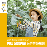 자연 속에서 배우고 놀자! 2025 평택 여름방학 농촌문화체험 프로그램 신청 안내