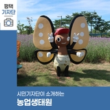 평택시민기자단 | 여름방학 때 아이들과 찾기 좋은 농업생태원