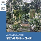 평택시민기자단 | 풍란의 꽃향기에 무더위도 날아간다. 나란희 풍란 꽃 축제 전시회 동행전