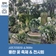 평택시민기자단 | 풍란의 꽃향기에 무더위도 날아간다. 나란희 풍란 꽃 축제 전시회 동행전