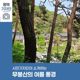 평택시민기자단 | 무봉산의 여름 풍경