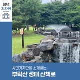 평택시민기자단 | 부락산 분수공원의 생태 산책로를 아시나요?