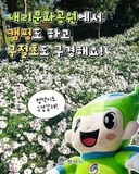 가을엔 평택 내리문화공원으로! 캠핑하고, 구절초도 구경해요 | 내리캠핑장 안내, 구절초동산 소개