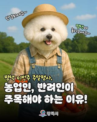 농업인, 반려인이 주목해야 하는 평택 주말행사 농업인의 날 행사 & 반려가족 시민운동회
