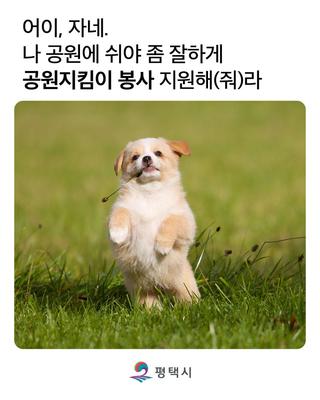 2026년 평택시 공원지킴이 모집 시작! 활동혜택·지원방법 총정리✨
