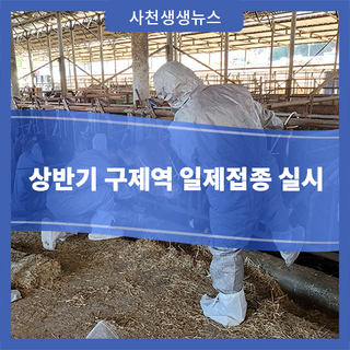 상반기 구제역 일제접종 실시