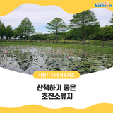 산책하기 좋은 초전소류지