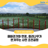 해바라기와 연꽃, 종려나무가 반겨주는 사천 초전공원