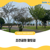 초전공원 황토길