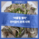‘여름철 별미’ 전어잡이 본격 시작