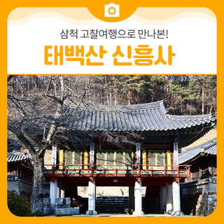 삼척 고찰여행으로 만나본 태백산신흥사 ㅣ삼척 가볼만한곳