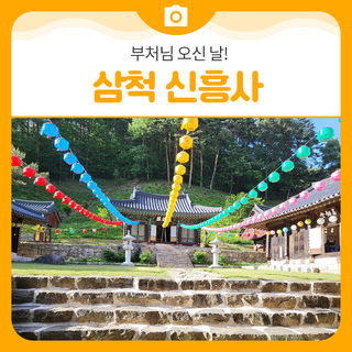 부처님오시기 전전날에 방문해본 신흥사ㅣ삼척 가볼만한곳