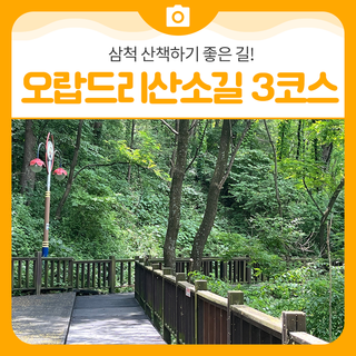 삼척문화예술회관에서 가까운 오랍드리산소길 3코스 즐기기ㅣ삼척 가볼만한곳