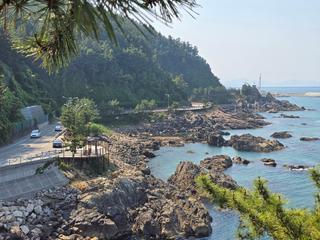 삼척 새천년도로 드라이브 시원하고 멋진 해안 절경과 비치조각공원 둘러보기 | 삼척 가볼만한곳