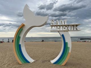 무더위를 날려! 삼척해수욕장 | 삼척 가볼만한곳