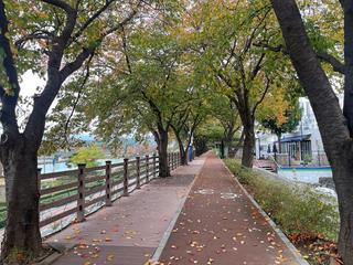 삼척의 가을관광지 삼척장미공원 가을에 걷기 좋은 산책로 추천 | 삼척 가볼만한곳