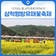 3월 국내 여행지 추천! 벚꽃&유채꽃 명소, 삼척맹방유채꽃축제