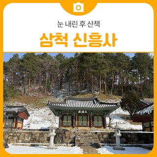 눈 내린 후 신흥사 산책 | 삼척 가볼만한곳