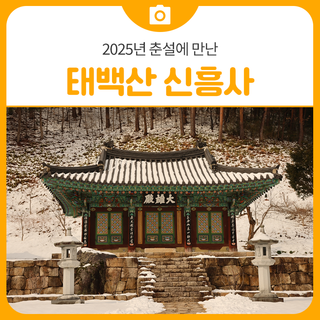 2025년 춘설에 만난 태백산 신흥사 | 삼척 가볼만한곳