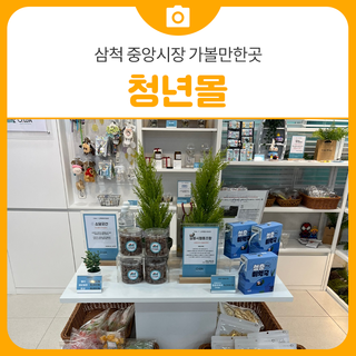 삼척시 청년몰 | 삼척 가볼만한곳