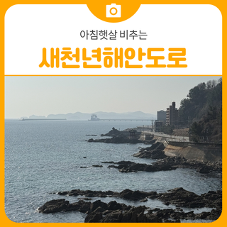 아침햇살 비추는 새천년해안도로 드라이브 | 삼척 가볼만한곳