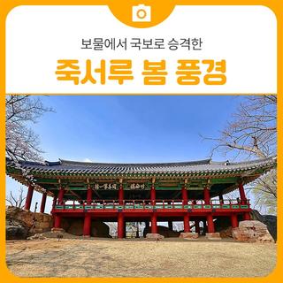 보물에서 국보로 승격한 죽서루 봄 풍경 | 삼척 가볼만한곳