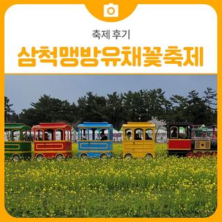 [축제 후기]삼척맹방유채꽃축제 봄가득 희망가득 추천여행지