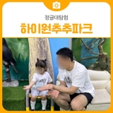 삼척 동물체험, 정글대탐험 하이원추추파크 | 삼척 아이랑 가볼만한 곳