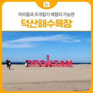 아이들과 조개잡기 체험이 가능한 삼척 덕산해수욕장 가족여행지 | 삼척 가볼만한곳