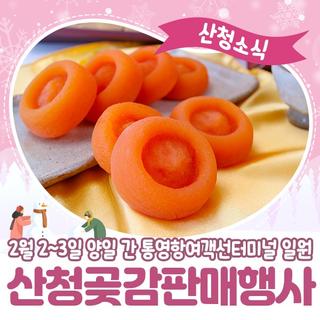 산청군, 설 맞아 지리산산청곶감 홍보에 나섭니다.