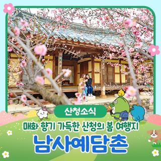 매화 향기 그윽한 남사예담촌으로 봄나들이 오세요!
