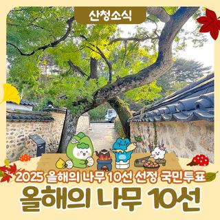 <2025 올해의 나무 10선 선정 국민투표>에 참여해주세요~!!