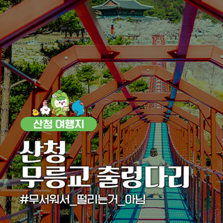 [경남 산청 여행지] 무릉교 출렁다리, 주차장부터 이용시간까지 총정리!