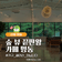 ✨ 산청 신상 대형 카페 포레스트뷰 끝판왕 카페 명동