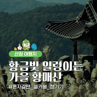 산청 대표 가을 명소 추천 황매산으로 떠나봐요!