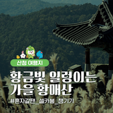 산청 대표 가을 명소 추천 황매산으로 떠나봐요!