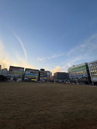 새롬동 체육시설용지 유휴지 잔디광장 조성(손희연 기자)