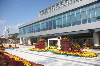 [포토] 국화꽃 만발한 서천군 신청사