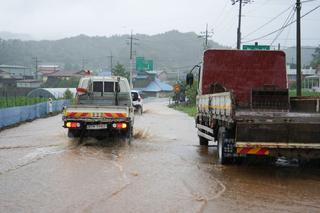 ️ 판교·비인, 특별재난지역 선포!